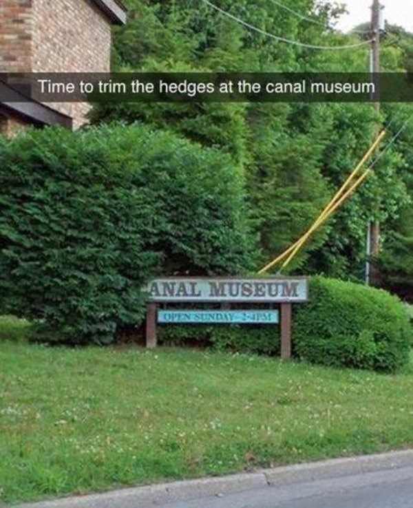 Time to trim the hedges at the central museum